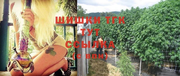 стаф Бородино