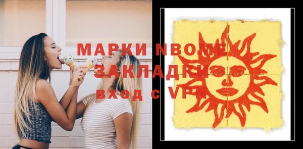 стаф Бородино