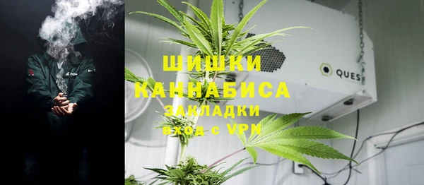 стаф Бородино