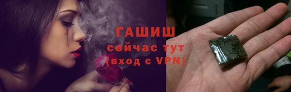 стаф Бородино