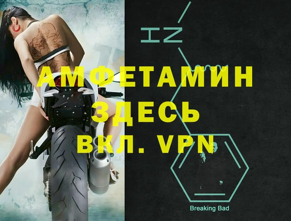 стаф Бородино