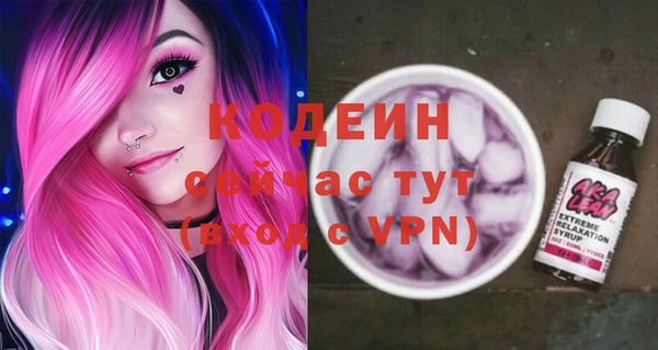 стаф Бородино