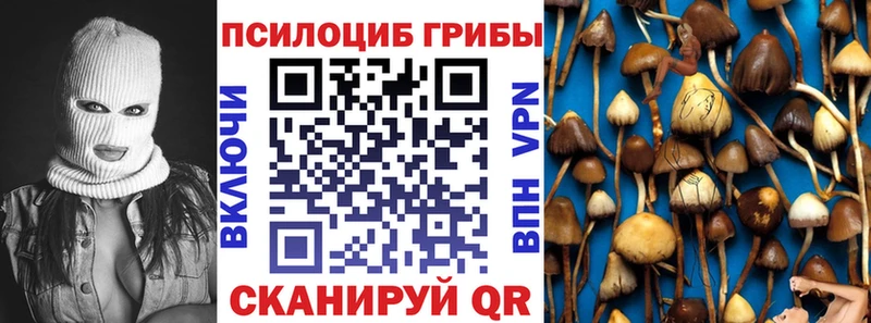 Купить закладки  Тында  Псилоцибиновые грибы ЛСД 