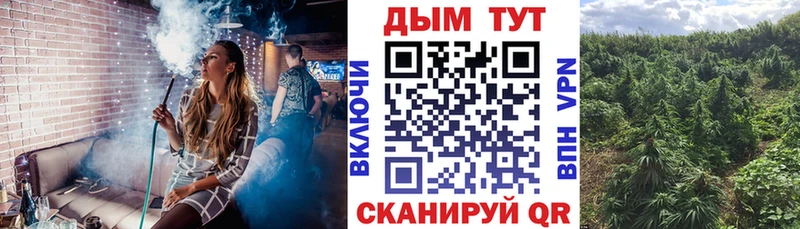Купить где  Тында  Бошки Шишки план 